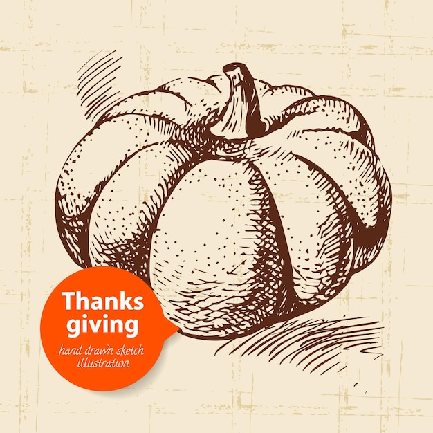 Hand drawn vintage Thanksgiving Day illustration