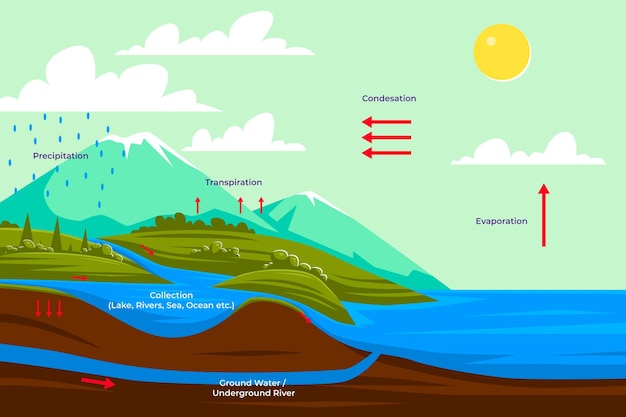 Hand drawn water cycle information