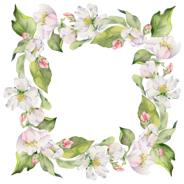 Hand drawn watercolor apple blossom white and pink flowers with green leaves Square frame composition Isolated object on white background Design for wall art wedding print fabric cover card