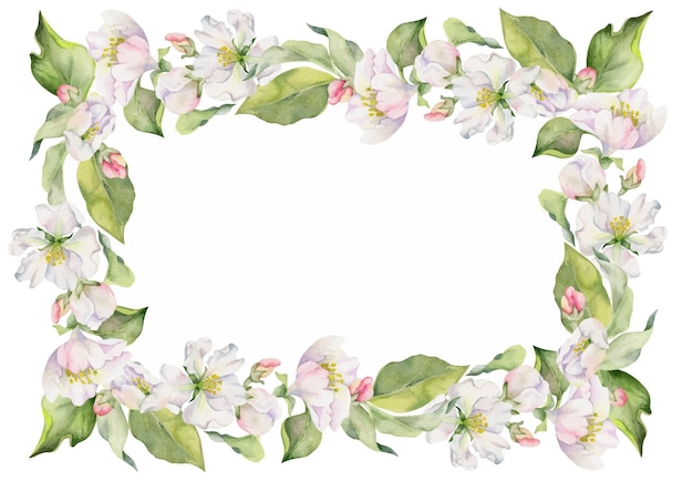 Hand drawn watercolor apple blossom white and pink flowers with green leaves Square frame composition Isolated object on white background Design for wall art wedding print fabric cover card