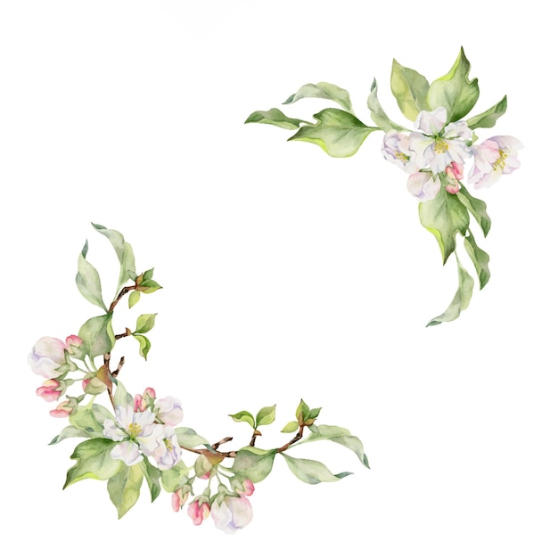 Hand drawn watercolor apple blossom white and pink flowers with green leaves Square frame composition Isolated object on white background Design for wall art wedding print fabric cover card