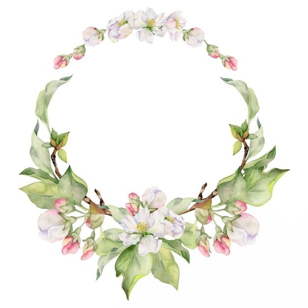 Hand drawn watercolor apple flowers branches and leaves white pink and green blossom Circle round wreath Isolated on white background Design for wall art wedding print fabric cover card