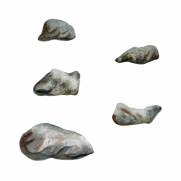 Hand drawn watercolor aquarium rocks stones and pebbles for bed Marine exotic underwater illustration Isolated object on white background Design for shops brochure print card wall art textile