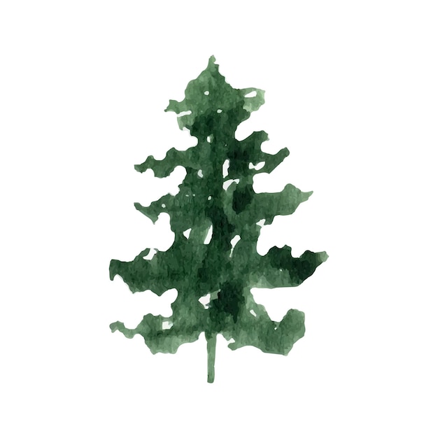 Hand drawn watercolor fir tree forest clipart