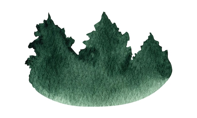 Hand drawn watercolor fir tree forest landscape clipart