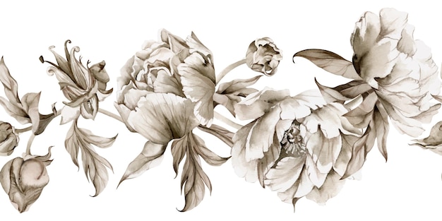 Vector hand drawn watercolor grisaille monochrome peony tulip ranunculus flowers buds and leaves seamless