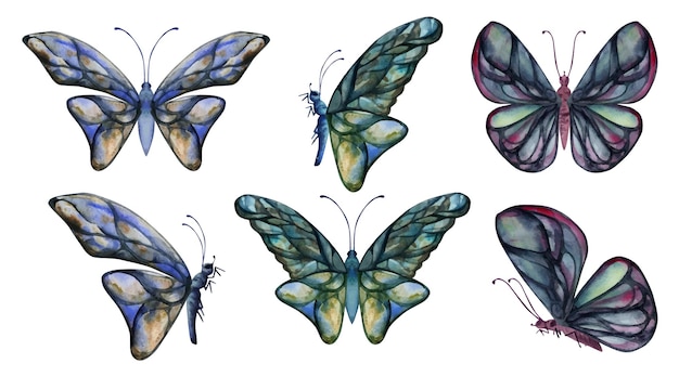 Hand drawn watercolor illustration butterfly fairy wings gem crystal insect moth Sapphire emerald labradorite tourmaline Object set isolated on white background Design print shop wedding birthday