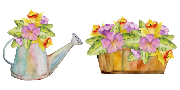 Hand drawn watercolor illustration spring gardening watering can and wooden box with flowers leaves Set of objects isolated white background Design print shop scrapbooking packaging decoupage