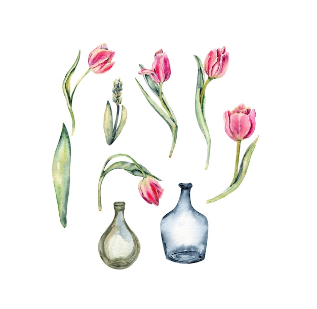 Hand drawn watercolor pink flowers tulips set . It's perfect for greeting cards, wedding invitation,