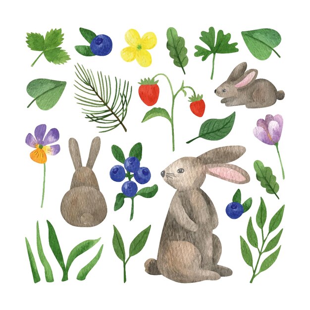 Hand drawn watercolor summer florals and hare in forest