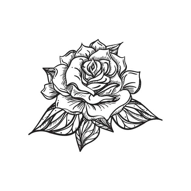 Hand Drawn Wedding Rose. Flower Template for wedding, holiday, celebration.