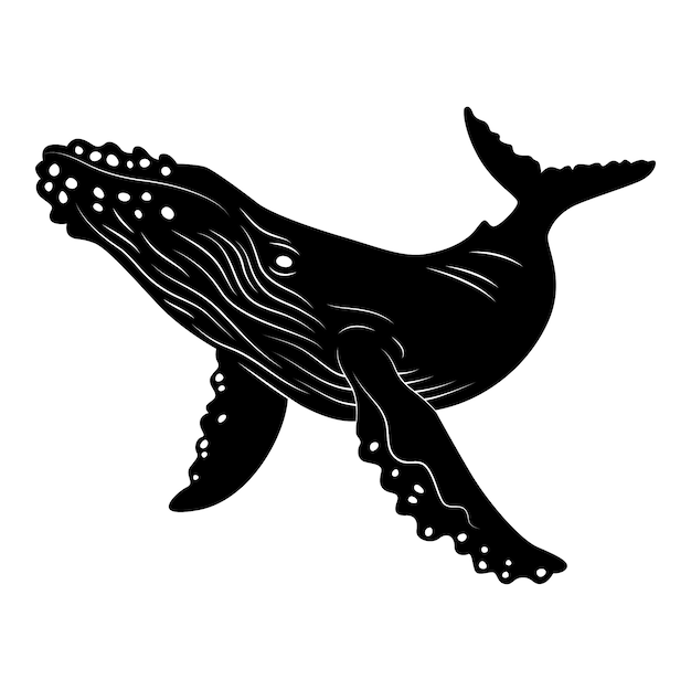 Hand drawn whale silhouette