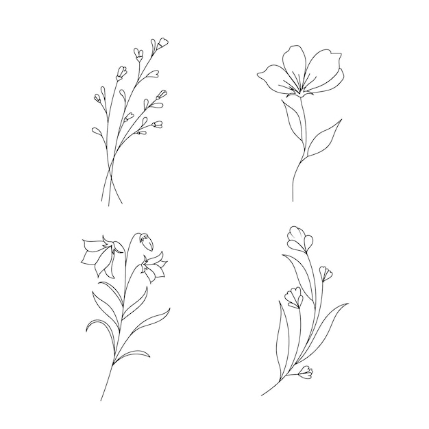 Hand drawn wild field flora flowers leaves herbs plants branches Minimal floral botanical line