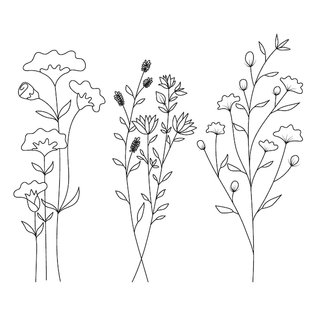 Hand drawn of wild flowers isolated on white background.