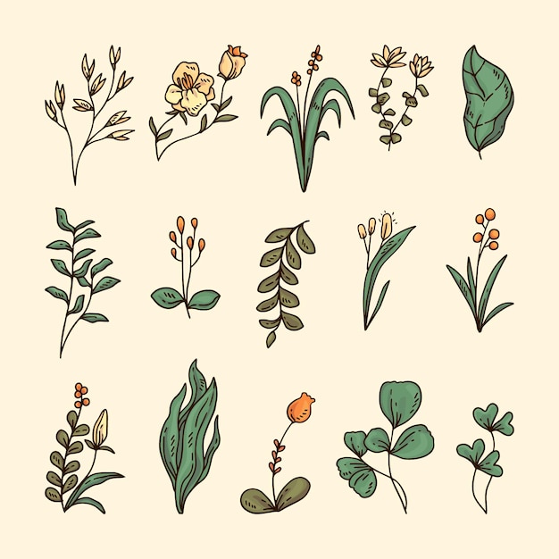 Vector hand drawn wild flowers set 1