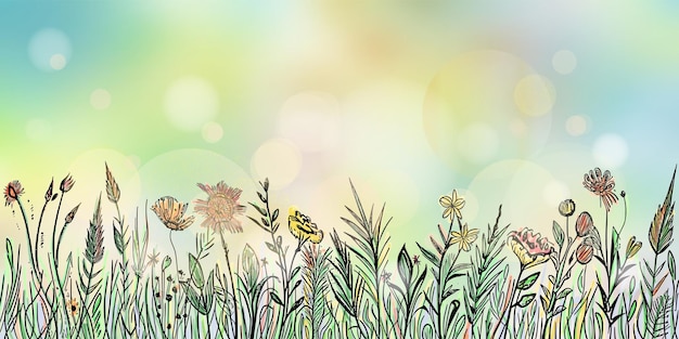 Hand drawn wild grass and flowers against the blue sky bright spring meadow