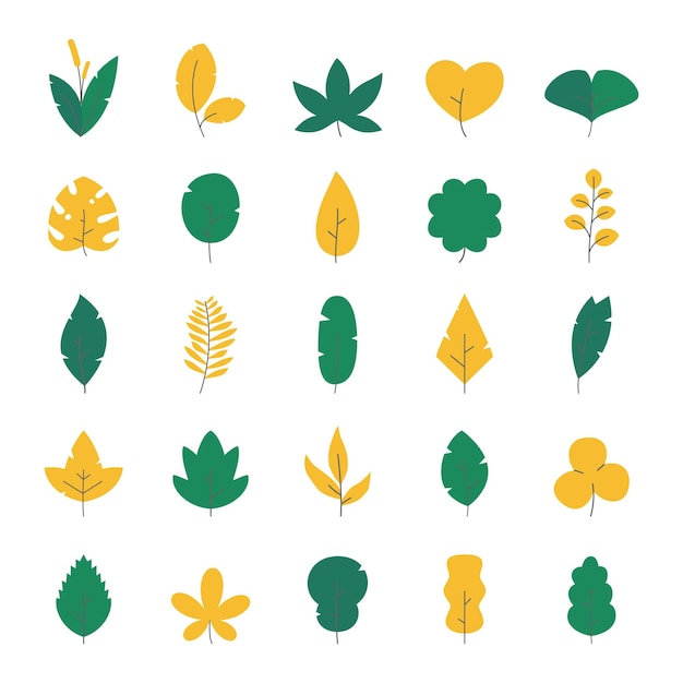 hand drawn yellow green leaf collection