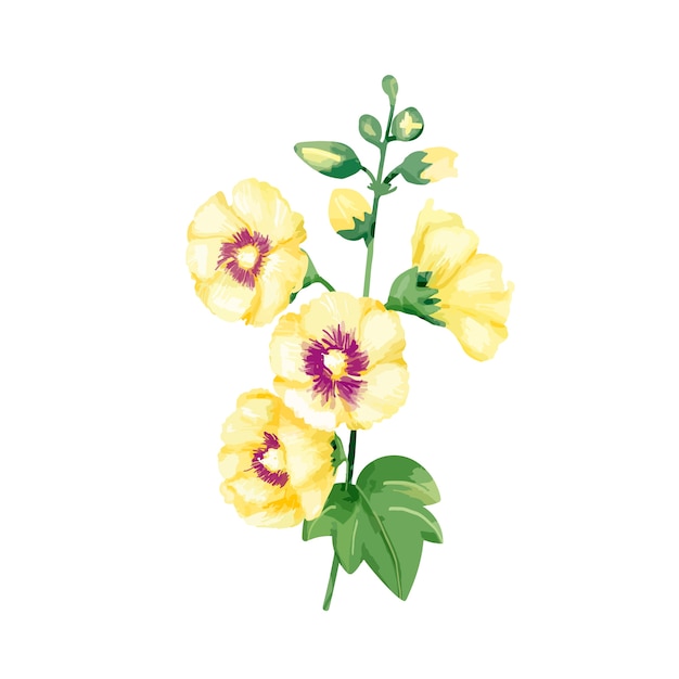 Hand drawn yellow hollyhocks flower illustration