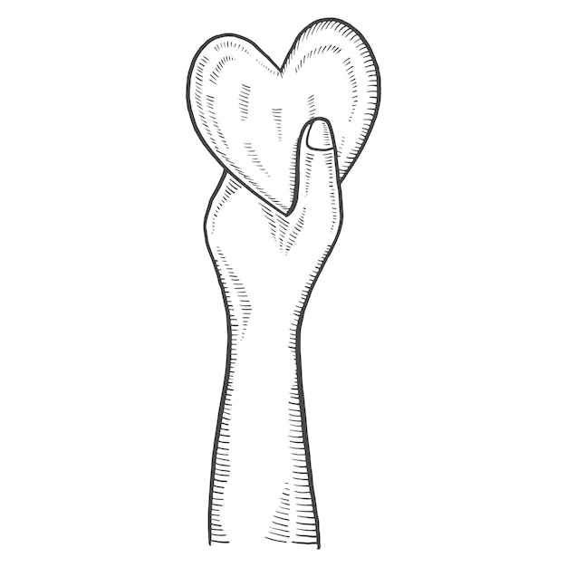 Hand hold heart charity humanitarian international day isolated doodle hand drawn sketch with outline style