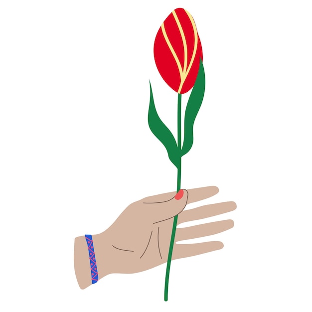 Hand holding flower spring tulip in hand isolated illustration flat style