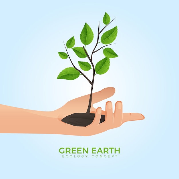 Hand Holding Growing Tree Green Eco Concept