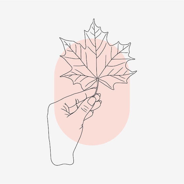 Hand holding maple leaf in line art style 1