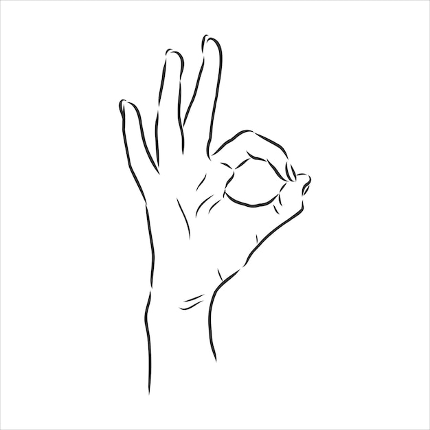 Hand OK Sign Isolated on White Background. Sketch style. Vector illustration