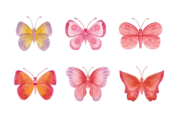 Hand painted lovely colorful watercolor butterfly set