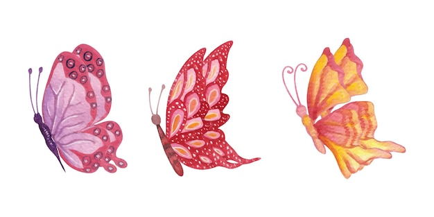 Hand painted various colorful watercolor butterfly set