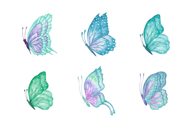 Hand painted watercolor butterfly set collection