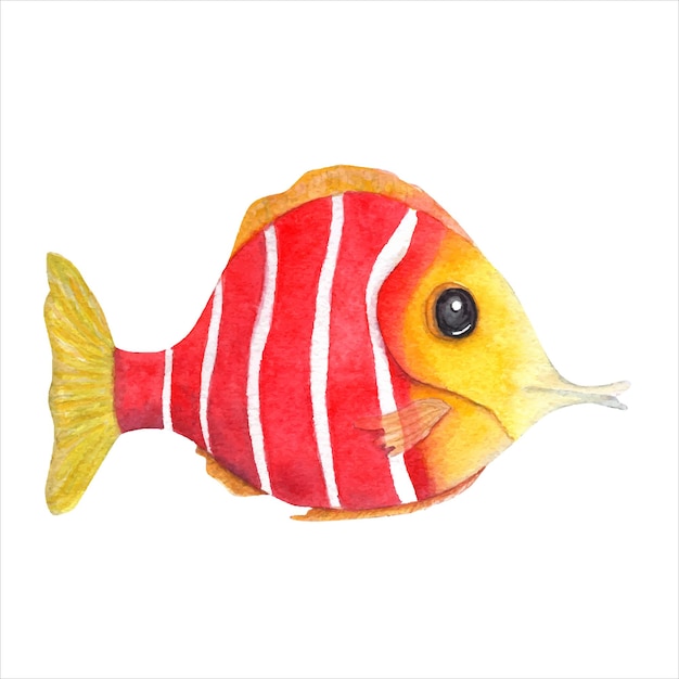 Hand painted watercolor illustration of colorful fish Perfect for wallpaper print baby textile