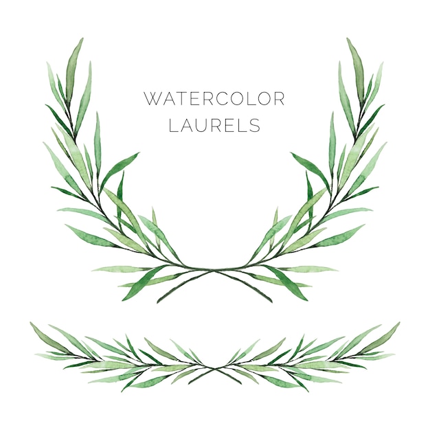 Hand painted watercolor laurels