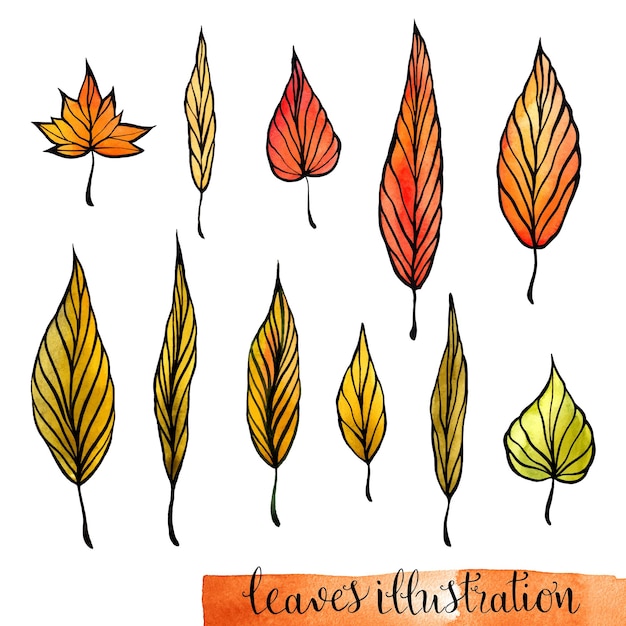 Hand painted watercolor leaves set