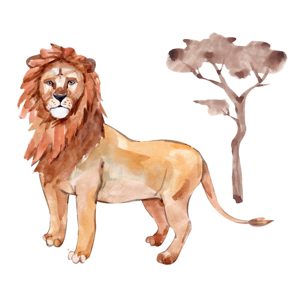 Hand painted watercolor lion