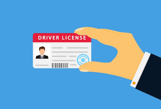 Hand with a driver's license isolated on blue