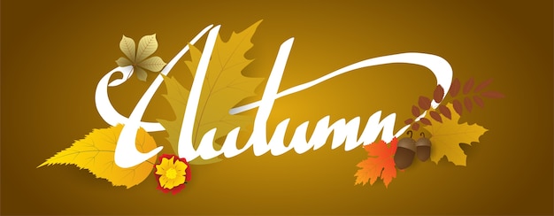 Hand writing Autumn text  boder, Banner with leaves.