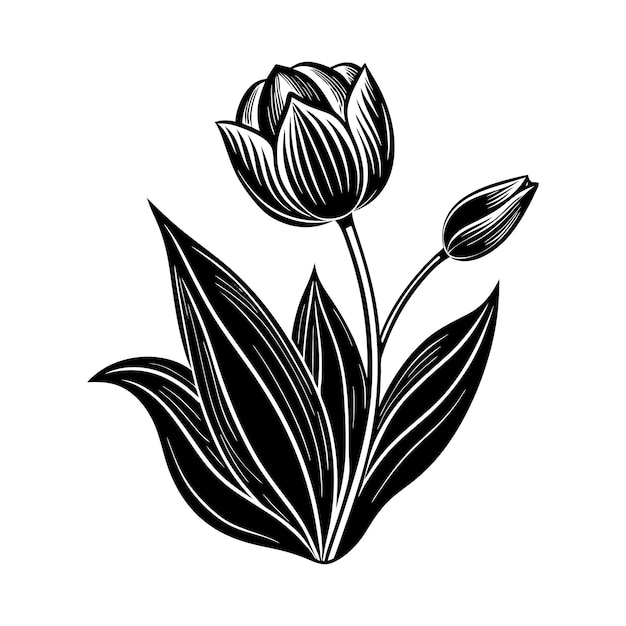 Vector handcrafted tulip linocut art print elegant black and white floral illustration vintage print