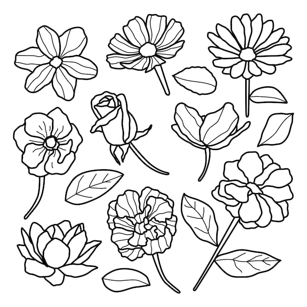 Handdrawn Aesthetic Realistic Floral Line Art Style Set