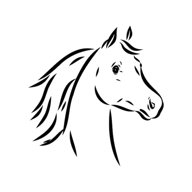 Handdrawn of arabian horse sketch with pen in vector format eps