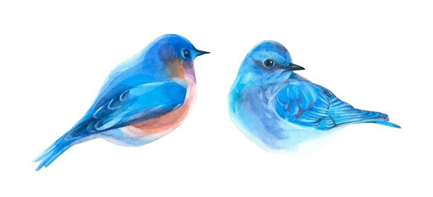 Vector handdrawn blue birds vector clipart