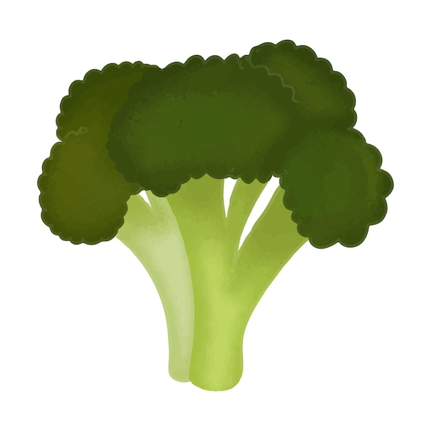 Handdrawn broccoli