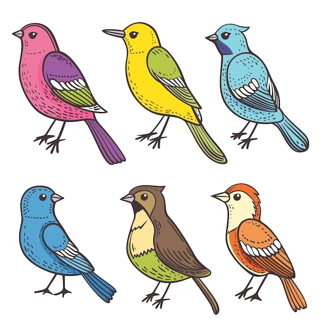 Handdrawn colorful birds six different species unique patterns feathers Cartoon style birds