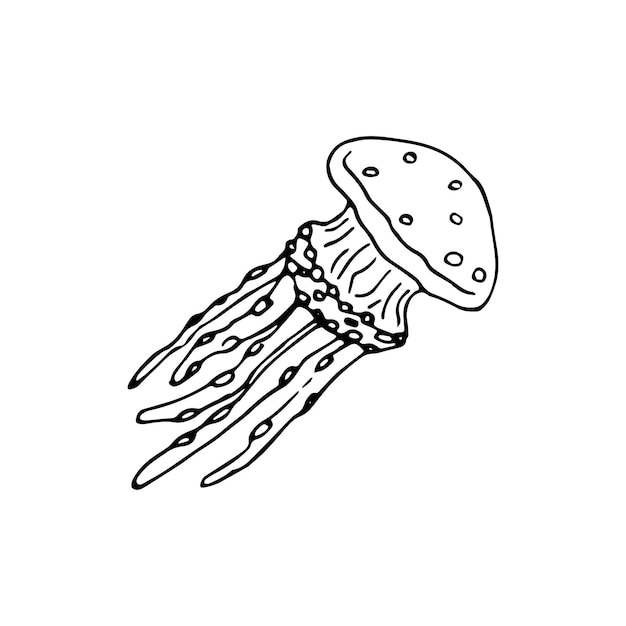 Handdrawn doodle jellyfish icon. Hand drawn black sketch. Sign symbol. Decoration element. White background. Isolated. Flat design. Vector illustration.