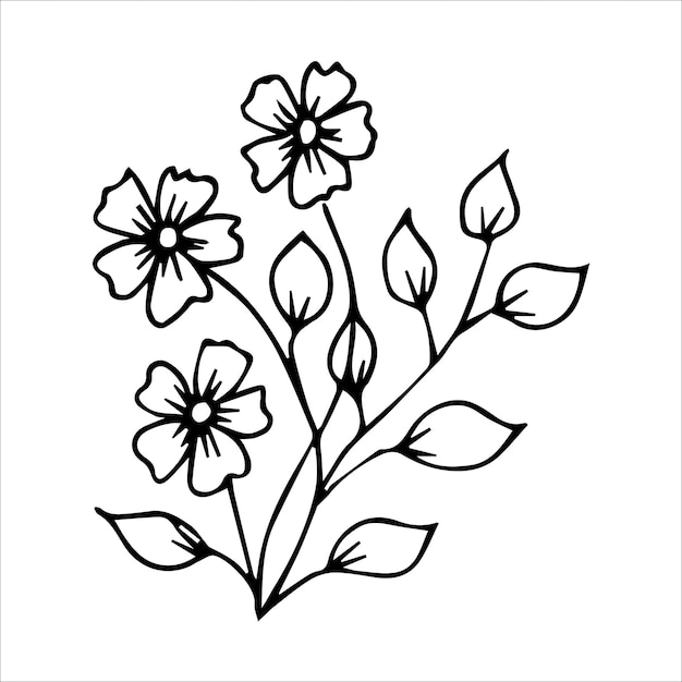 Handdrawn doodle plant element for floral design concept