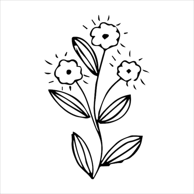 Handdrawn doodle plant element for floral design concept