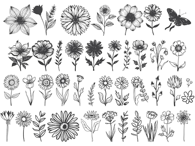 HandDrawn Flowers and Leaves vector