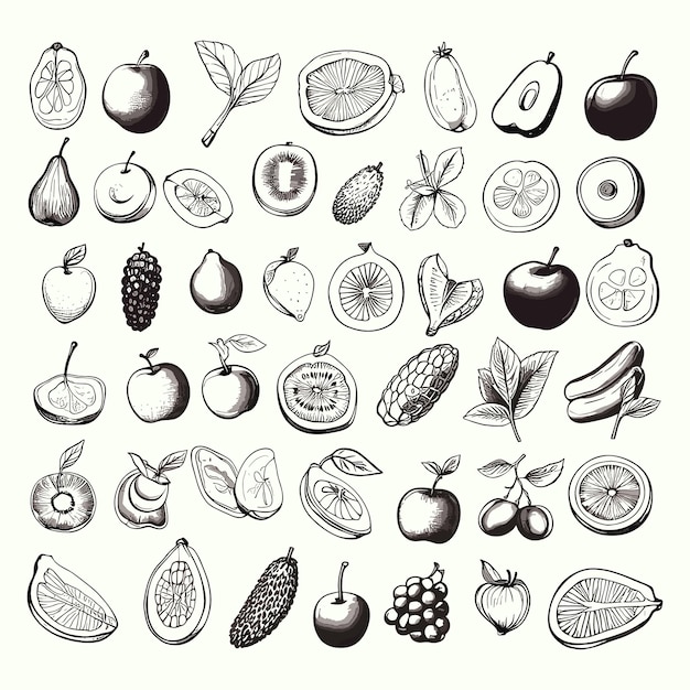 Vector handdrawn fruits and food elements vector editable file eps