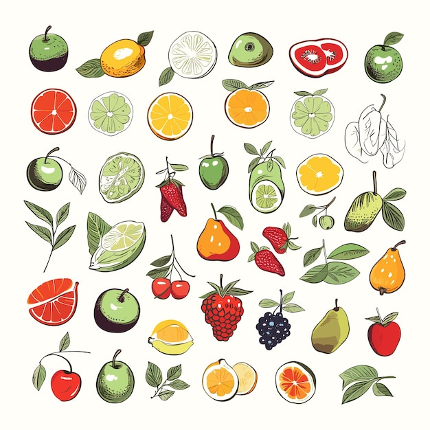 Vector handdrawn fruits and food elements vector editable file eps