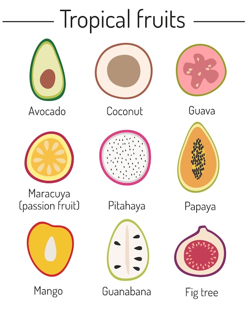 Handdrawn fruits Natural tropical fruits Vegan cuisine organic fruits or vegetarian dishes