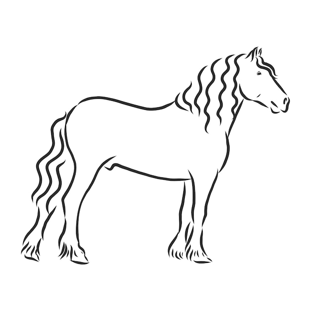 Handdrawn  horse on a white background heavy horse vector sketch illustration